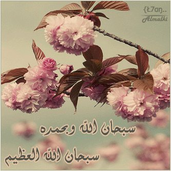 sshoshp tweet picture