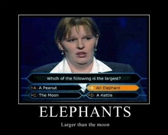 biglolz's tweet photo. Funny Picture - Stupid People - http://t.co/3c35soIVaj http://t.co/lVNPgdOo7z