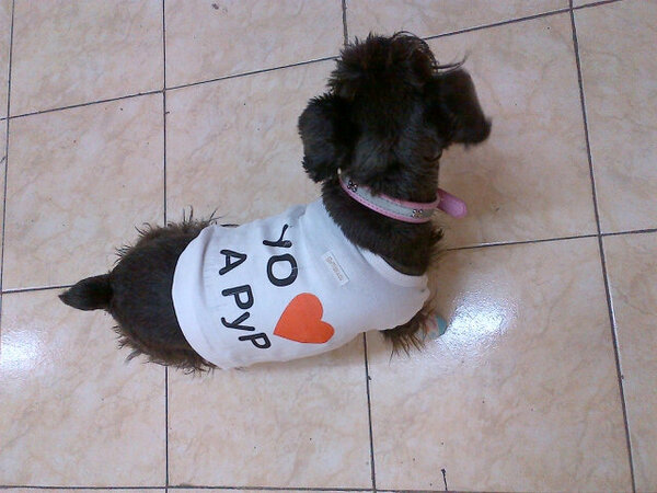 paulitachaves's tweet image. "@silvinaescudero: Mi Mulatita es Pauliter?!?!!!! Jajaja! cc @paulitachaves @pedroalfonsoo http://t.co/IqrrNUpw4N"// seee, ella ama a la tia