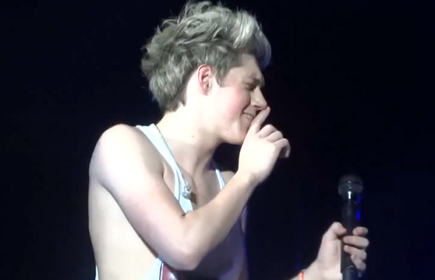 Enlace permanente de imagen incrustada