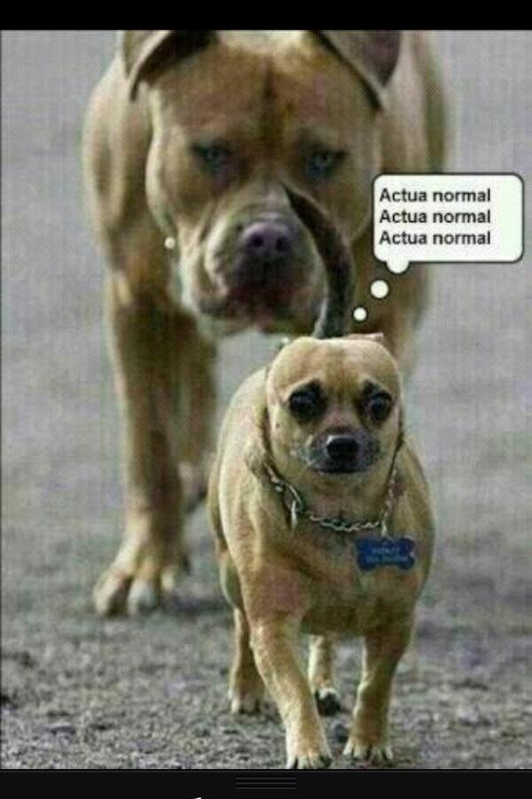 😂😂😂😂😂ja jajajaja es buenísimo! Feliz domingo! Me voy a grabar! Besitos! Jajajaja