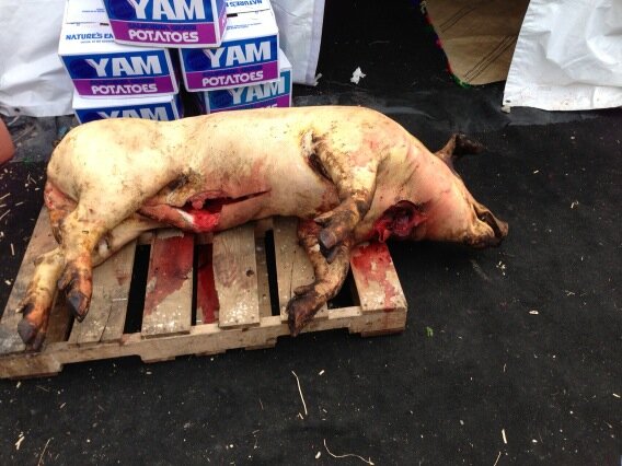 JustDoEht_B's tweet image. #PolyStyle my nigga!!!!!! We don&apos;t fuck around!!