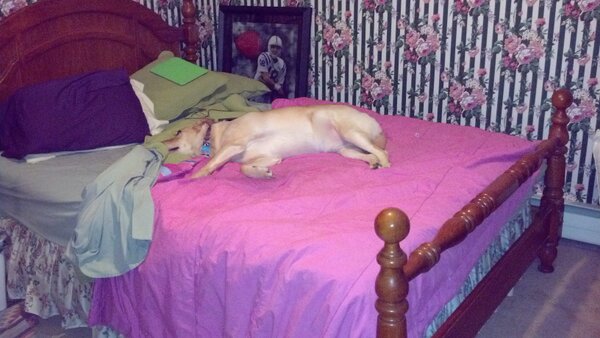 orlifan18's tweet image. Even on a queen sized bed, she takes up most of the space! #cannotwin