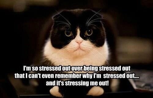 ladytamtam4's tweet photo. My thoughts about next week #fml http://t.co/nx1rEvumFT