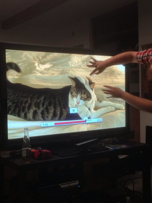 JesseCox's tweet photo. The most dramatic scene in the movie as illustrated by @FacianeA . @wowcrendor @JKCompletesIt @TeamDavis #catwrap http://t.co/0jcSYMgmLg