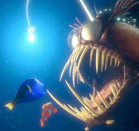 Anglerfish deutsch