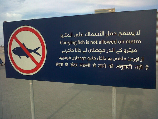 BimForums's tweet image. Bummer, I can't take my pet fish for a ride of the Metro today! Silly rules