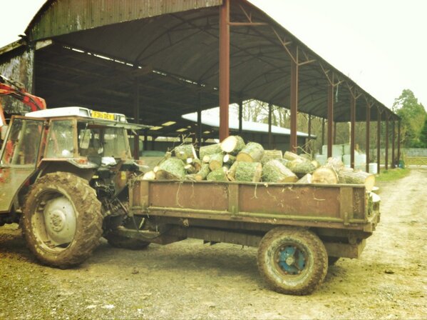 Not a bad mornings work, I'm to my real job to sell some cars #pintlaters