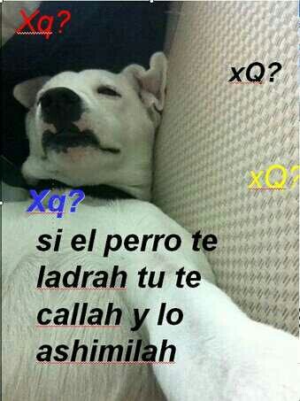 el_frigodedo's tweet photo. JAJAJAJAJA. http://t.co/jlOPdsPSbe