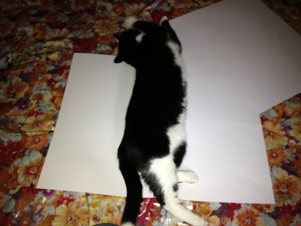 Philaldinho's tweet image. Our new 3D signs for @SouthsideWE #SignProblems