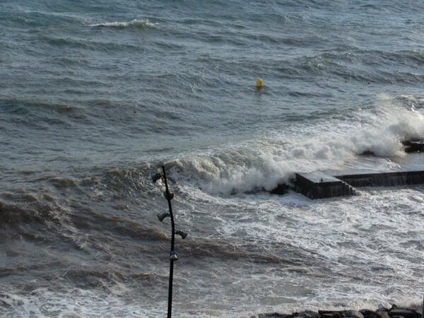 AdriaanNavarro's tweet image. Nos vamos ahora mismo a radazul a hacer surf, eso solo pasa una vez al año! #surfordie