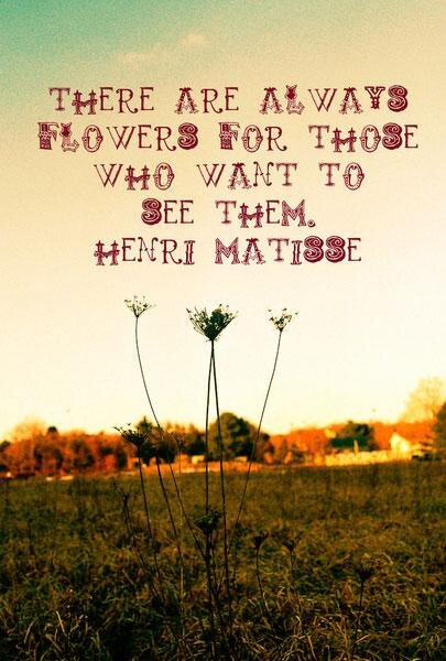 SoGoPro's tweet photo. Flowers... http://t.co/lF8aC6ezae