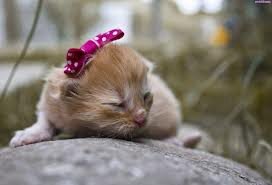 FansAcaciaClark tweet picture