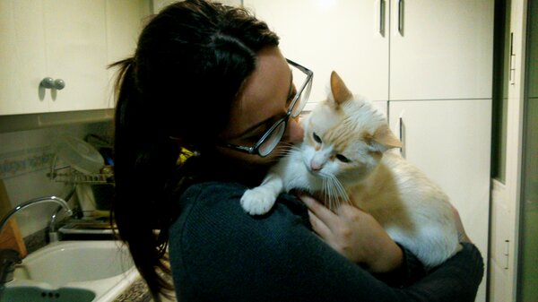 HectorCabaneshc's tweet photo. Gatito guapo @Marfersouto http://t.co/GfAAqDbT0M