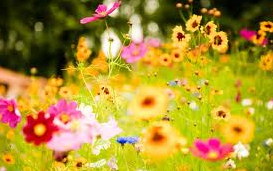 SocialTaskApp's tweet image. Spring is almost here #YouReady? #WeAre #SocialTask