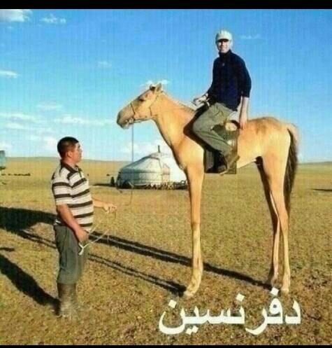 nayfa6's tweet photo. http://t.co/FhbfEmomR1