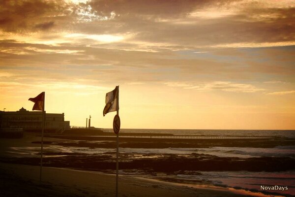 Nova Days tweet media