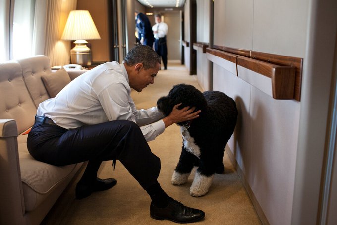 This is so cute, I don't care who it is, this is adorable. RT @BarackObama: Buddies. http://t.co/4Qf<a href="/tag/notsneekyenough"class="tags"><span>#notsneekyenough</span></a>