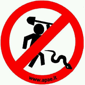 TRC_TPi's tweet photo. Save Our Reptile.. http://t.co/7qCBdy9U0u