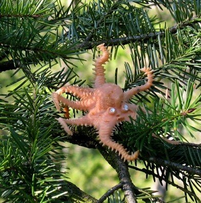 tree octopus tree octopus