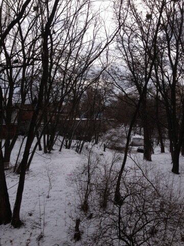 kivetta's tweet photo. Опять выпал снег, ну че за хня(( http://t.co/xOTA4hy1vg
