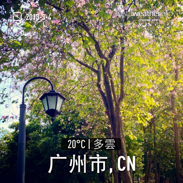iRudy's tweet photo. Sunny day in Guangzhou. Too bad I still have to struggle with my dissertation in the lib... :-( http://t.co/QlTccqePqR