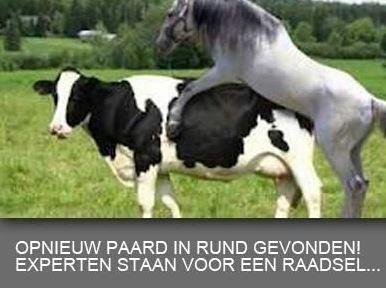 Rdragstra's tweet photo. http://t.co/9js6An5Pf9
