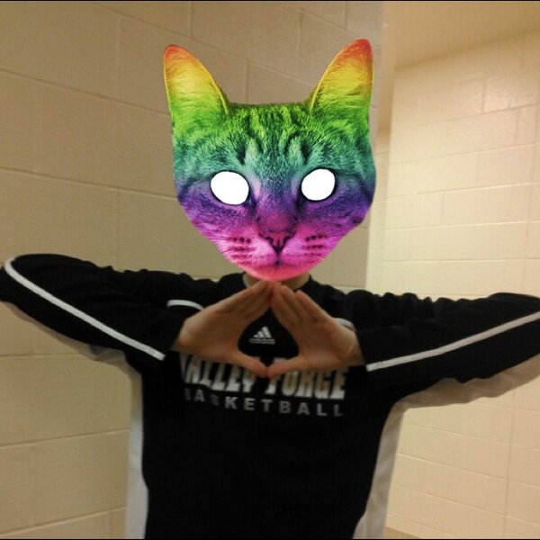 Skyscraper6394's tweet image. #ofwg #illuminati #catflow  catgnaw.com