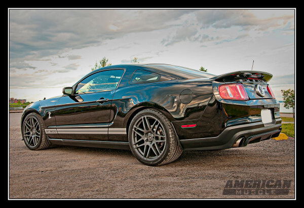 AmericanMuscle.com tweet media