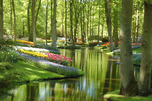 FnNature's tweet photo. Holanda: Los jardines del Keukenhof http://t.co/JZkEWpDx2A