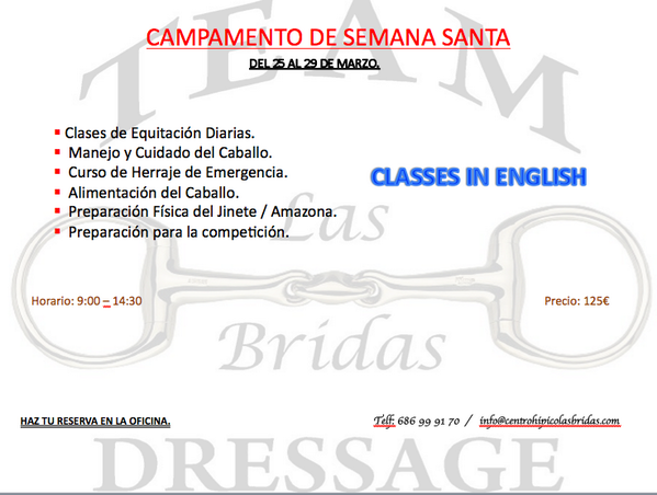 CHLasBridas's tweet photo. Esta Semana Santa pasala con nosotros en nuestro campamento!!! vive la equitación mas de cerca!!! http://t.co/rt7E88umK8