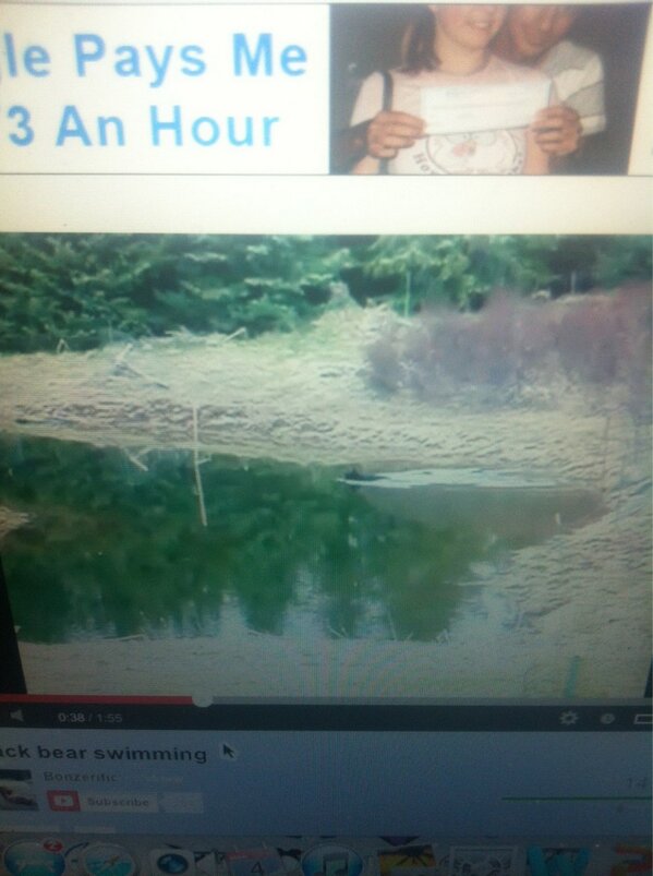 shaynepasquino's tweet image. I&apos;m not even high #youtubefun