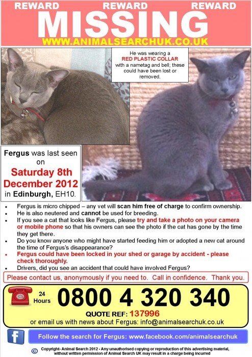PawsForAll's tweet image. FERGUS is missing since 8th December from his home in #Edinburgh. Have you seen him? Please share!   @RosalindNewland