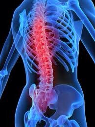 Wilson_Chiro tweet picture