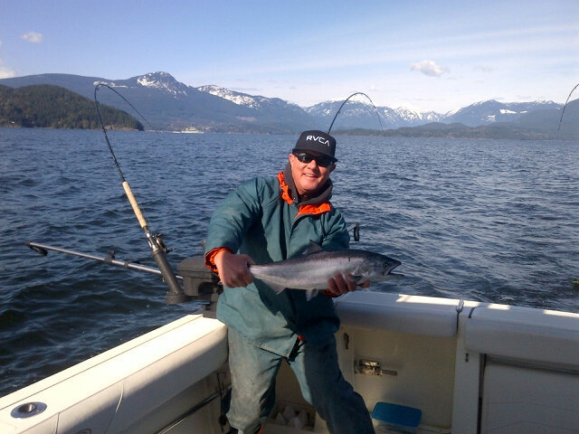 Howe sound winter Spring. Caught on a Silver Horde Irish cream behind a Gibbs highliner flasher