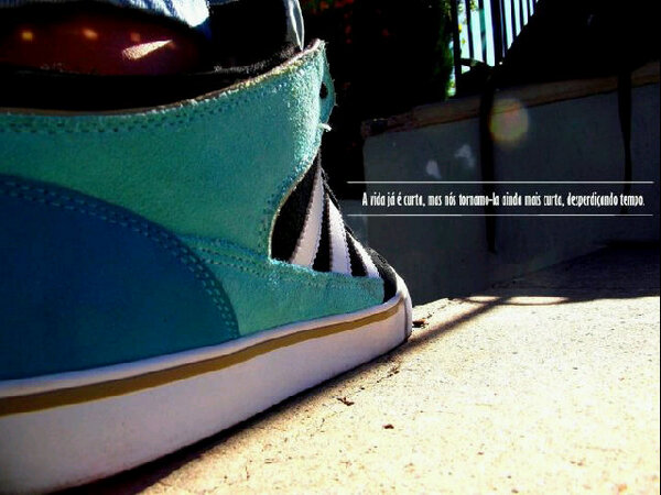 Eduardo Freitas (@ejpf74) on Twitter photo 