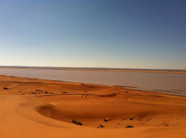 #غرد_بصورة #من_تصويري القاع السنه الماضية #ثرمداء