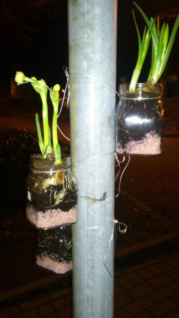 Guerilla Gardening in Essen Frohnhausen