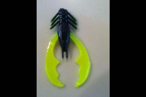RiotBaits's tweet photo. Can't stop us now!!! http://t.co/K0O2zxP8VH