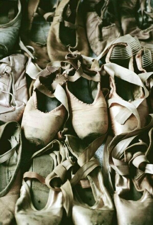 KGSDDailyLove's tweet photo. #Pointedshoeheaven. #KGSDThing http://t.co/pWurlfaHO2