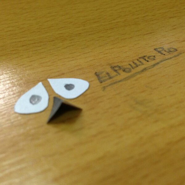 LiRW5991's tweet photo. El pollito Pio by @FranchuManchu xD #macro #aburrimiento http://t.co/KYgAtMj4bl