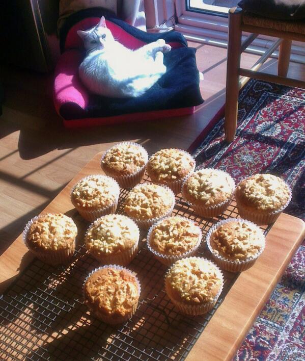 Big Johns Cakes new gluten and dairy free peanut butter and banana muffins selling thurs fri on the market.Yum