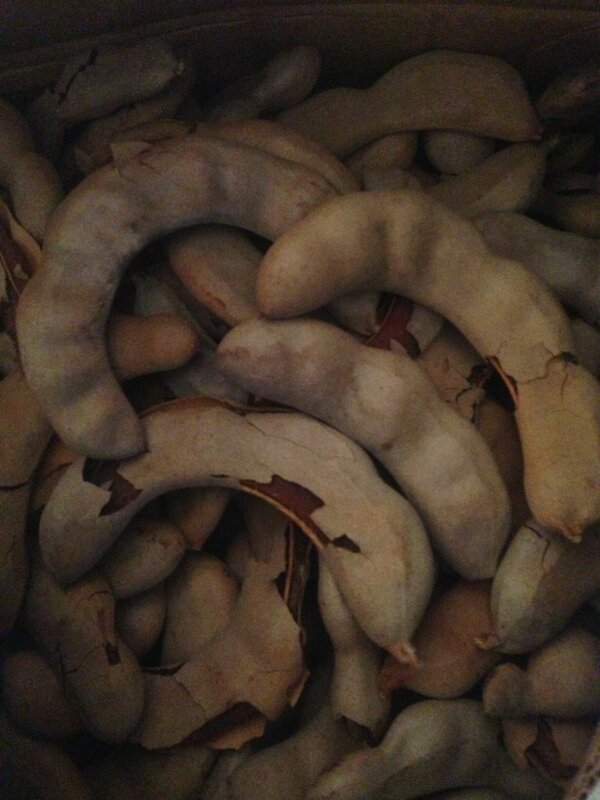 casacortes's tweet photo. Tamarindo Extra Cosecha 2013 http://t.co/YqqpSY01Fk