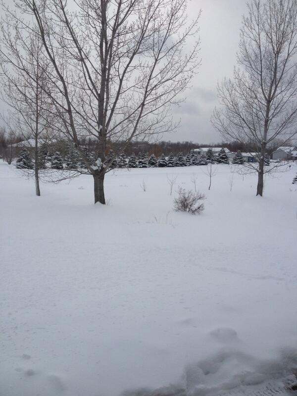 krizzzztin's tweet image. Spring break #MinnesotaStyle