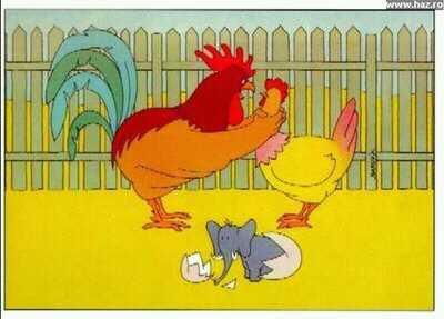 ___LQSA___'s tweet photo. Esto si que es una putaajajajaja http://t.co/qiqA9YV0YF