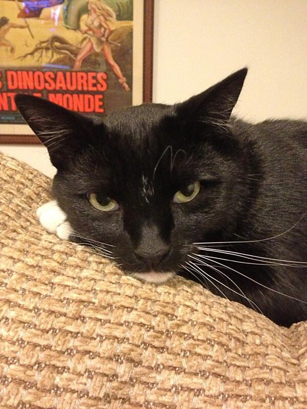 What a face to wake up to: