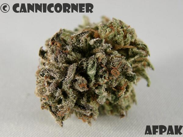 CanniCorner's tweet image. AfPak review is up at cannicorner.com now!!! #mmot #mmj #cannabis @HighImGod @THEDADDYSTONER @DedFishHed