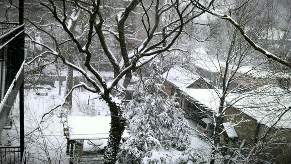DylanMcGeeJones's tweet photo. Backyard snowglobe. #youllshootyoureyeoutkid #chicago #winter #snow #backyard http://t.co/HUNgvGg3kY