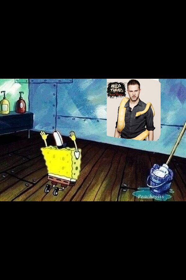 LOTRWildThings's tweet image. #WhatIDoWhenImAlone @DomsWildThings