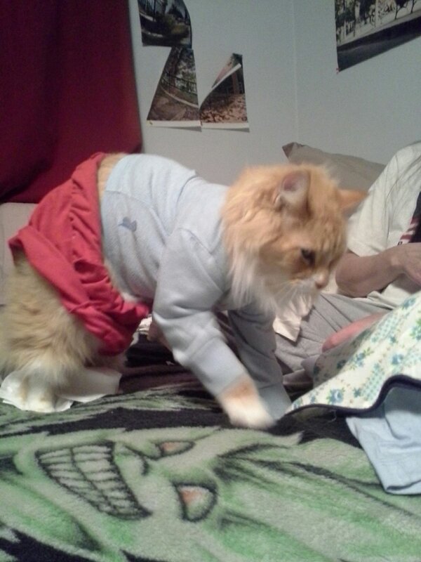 agizzy69's tweet image. @ Kelli_cheney